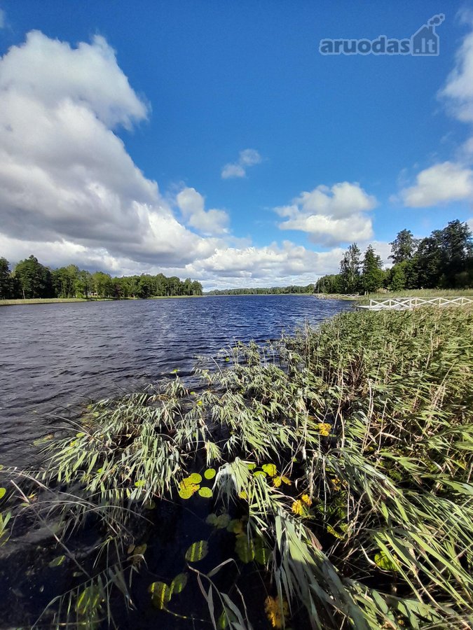 Nedidelė jauki sodybėlė tikram poilsiui - nuotraukos Nr. 33