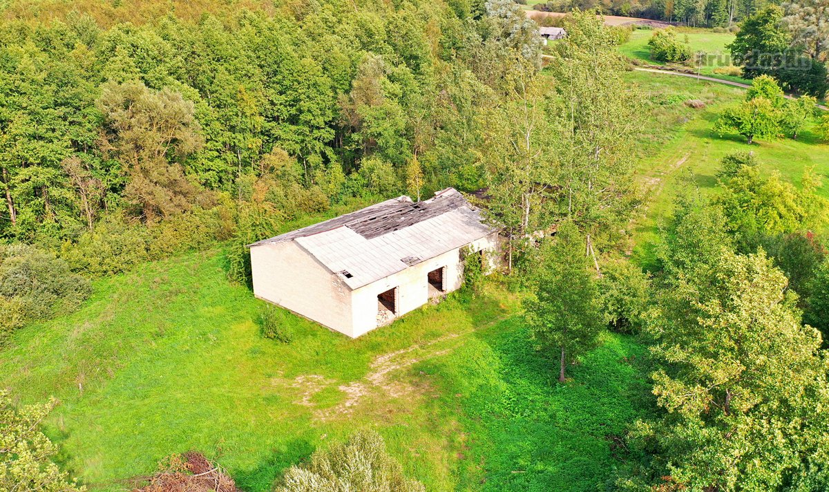 Išskirtinė galimybė – pastatas su 0,32 ha - nuotraukos Nr. 4