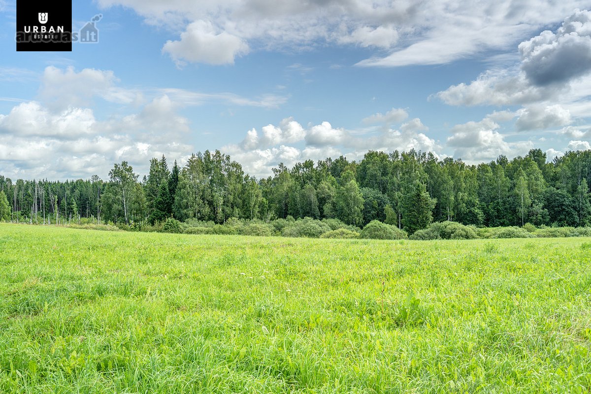 Žemės Ūkio Paskirties Sklypas Su Miško Dalimi - nuotraukos Nr. 2