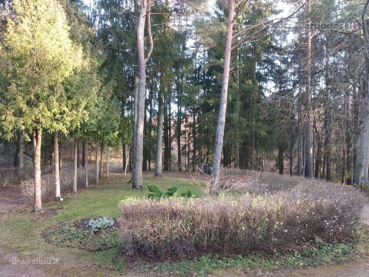 Parduodamas 1 kambario butas su žeme ramioje - nuotraukos Nr. 19