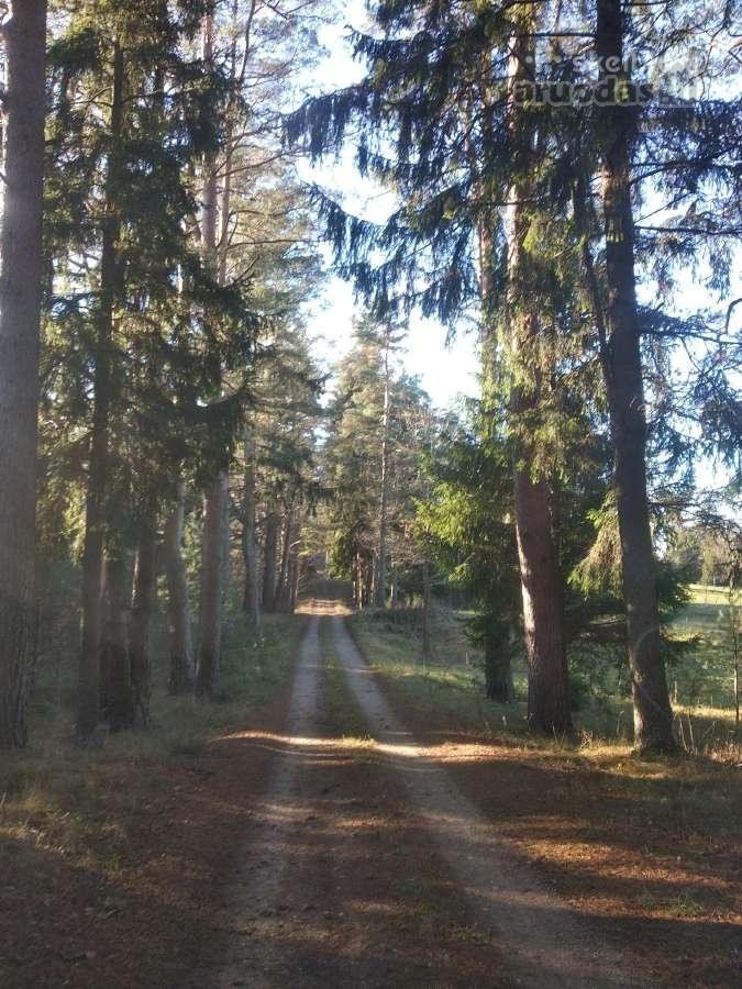 Parduodamas 1 kambario butas su žeme ramioje - nuotraukos Nr. 20