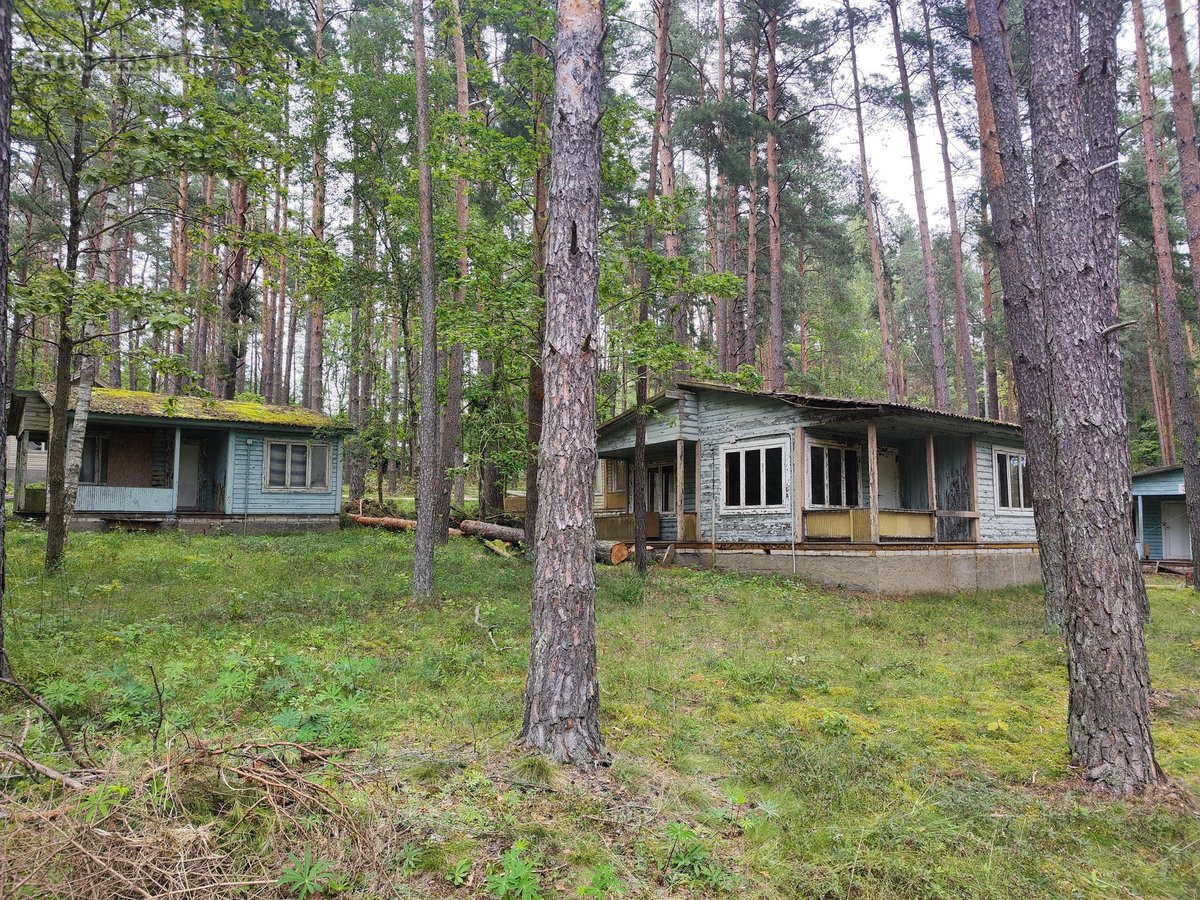 Ieškote ramybės, gamtos grožio ir galimybės - nuotraukos Nr. 19