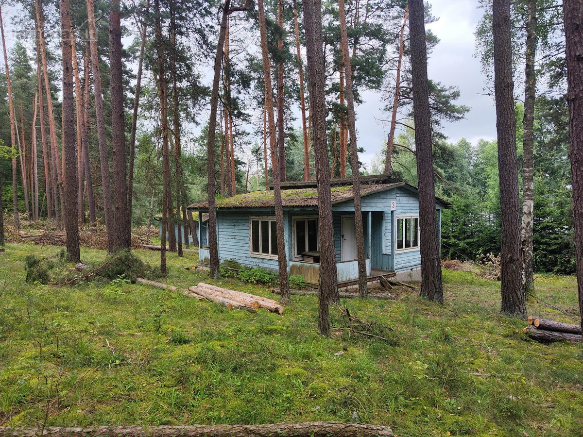Ieškote ramybės, gamtos grožio ir galimybės - nuotraukos Nr. 21