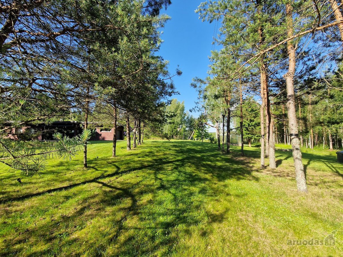 Sodyba prie Ungurinio ežero – vieta, kur - nuotraukos Nr. 8