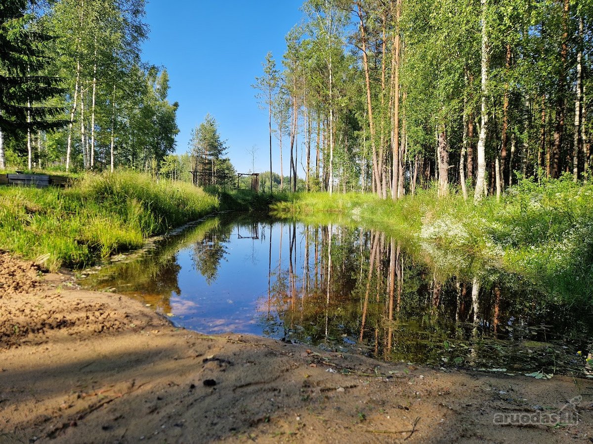 Sodyba prie Ungurinio ežero – vieta, kur - nuotraukos Nr. 14