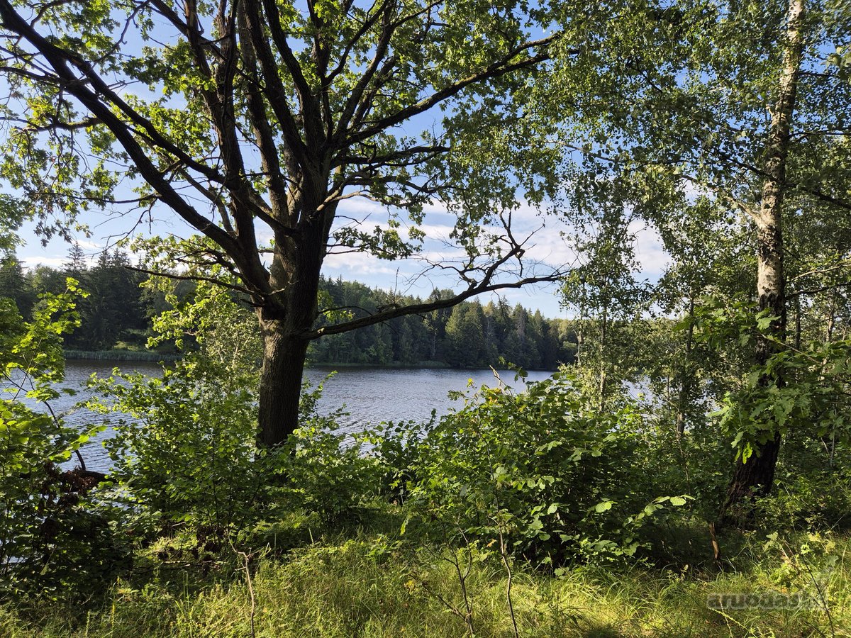 Parduodamas Sklypas Prie Plikių Tvenkinio, - nuotraukos Nr. 3
