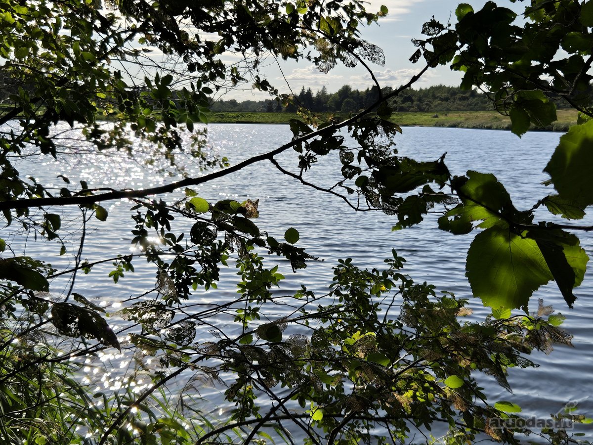 Parduodamas Sklypas Prie Plikių Tvenkinio, - nuotraukos Nr. 5