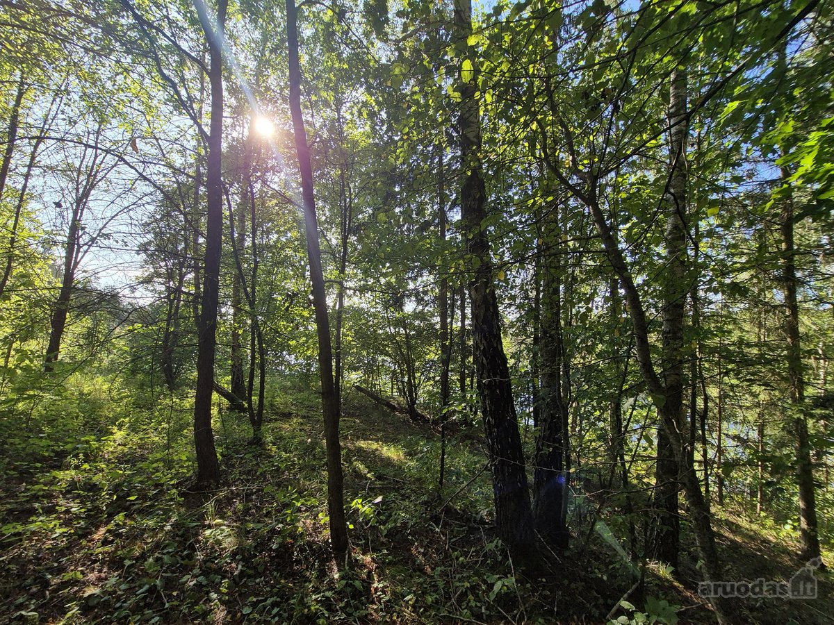 Parduodamas Sklypas Prie Plikių Tvenkinio, - nuotraukos Nr. 13