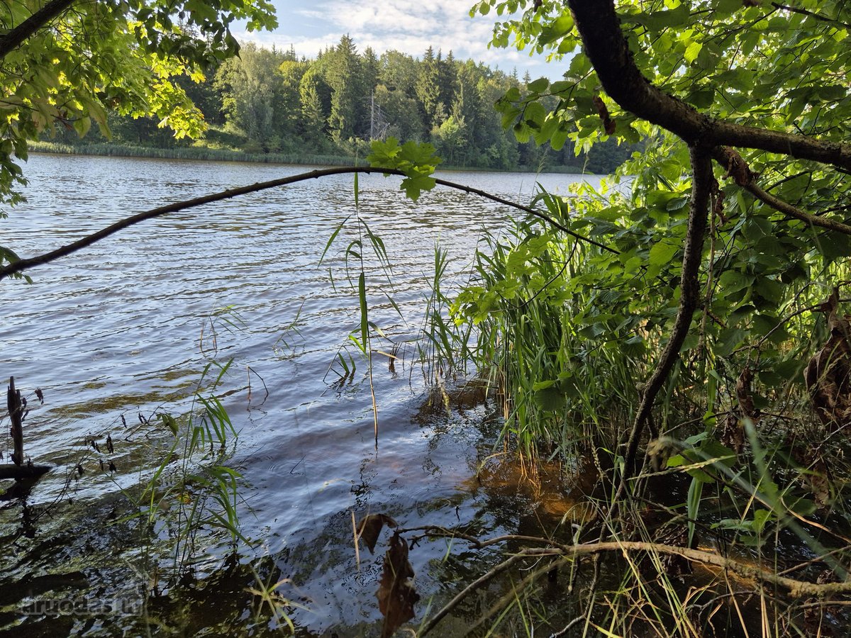 Parduodamas Sklypas Prie Plikių Tvenkinio, - nuotraukos Nr. 14