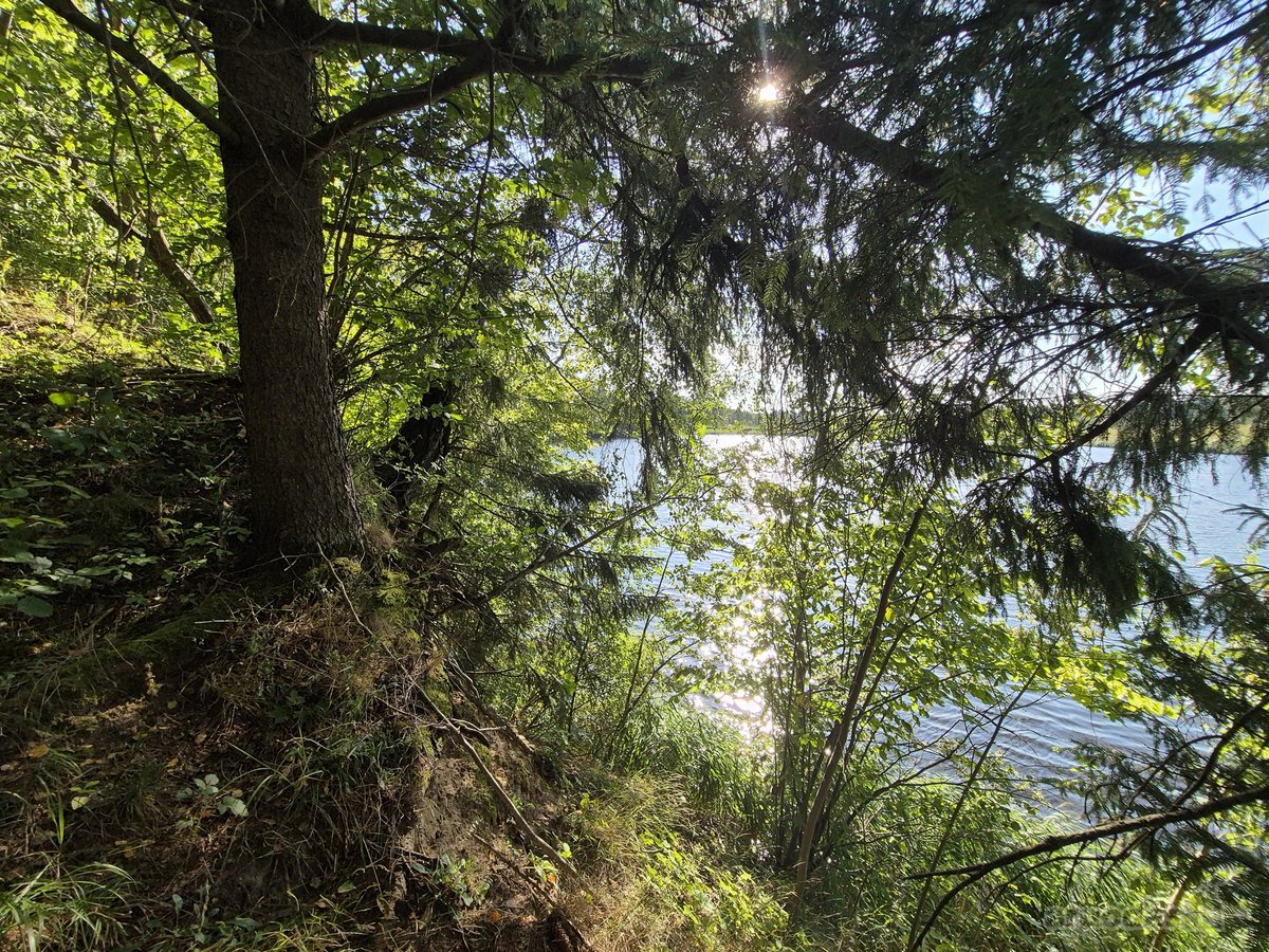 Parduodamas Sklypas Prie Plikių Tvenkinio, - nuotraukos Nr. 18