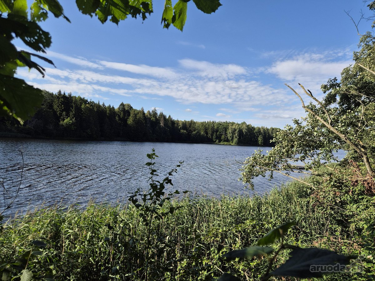 Parduodamas Sklypas Prie Plikių Tvenkinio, - nuotraukos Nr. 4