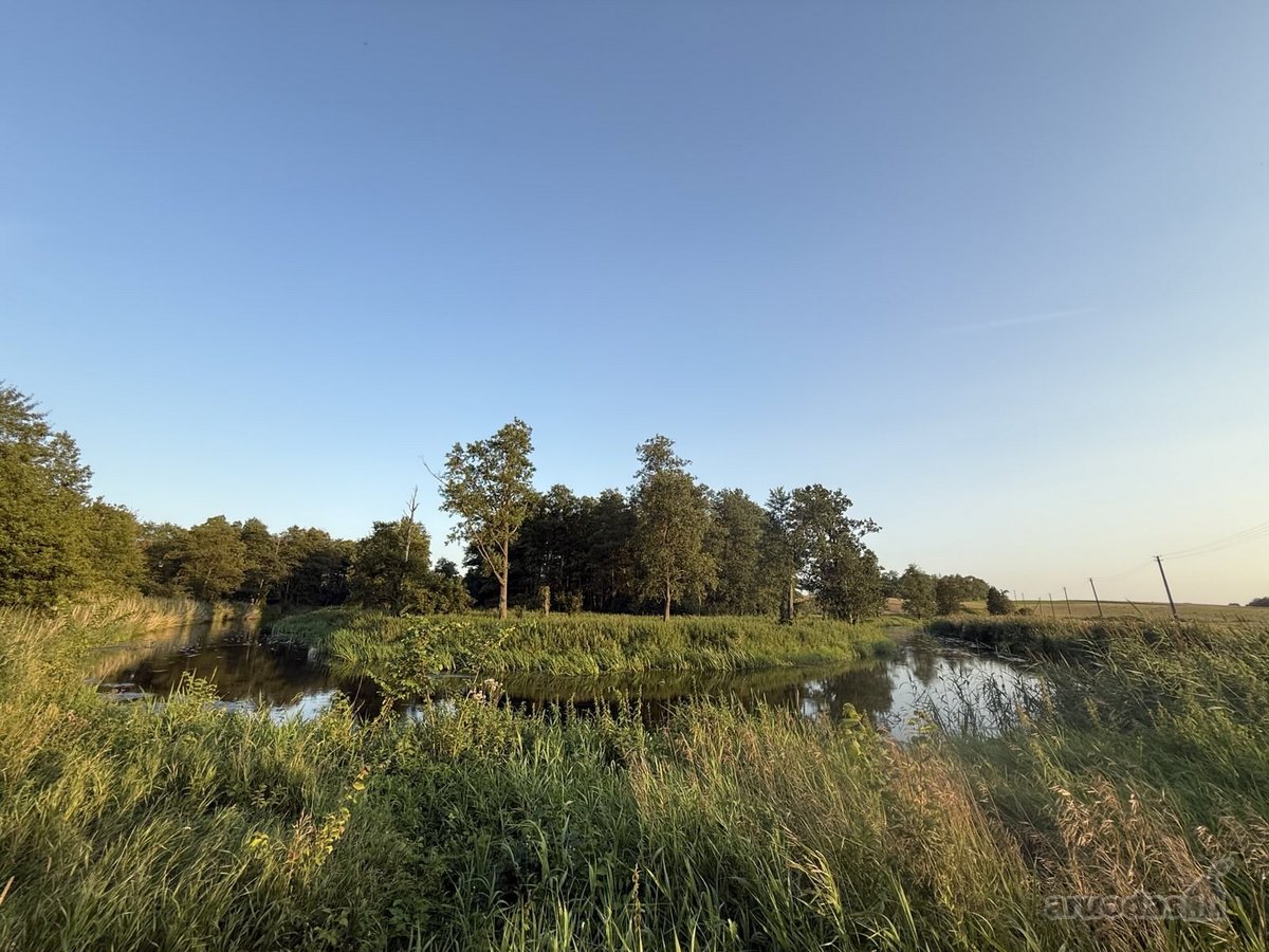 Parduodamas 1.2099 ha buvusi sena sodyba - nuotraukos Nr. 12
