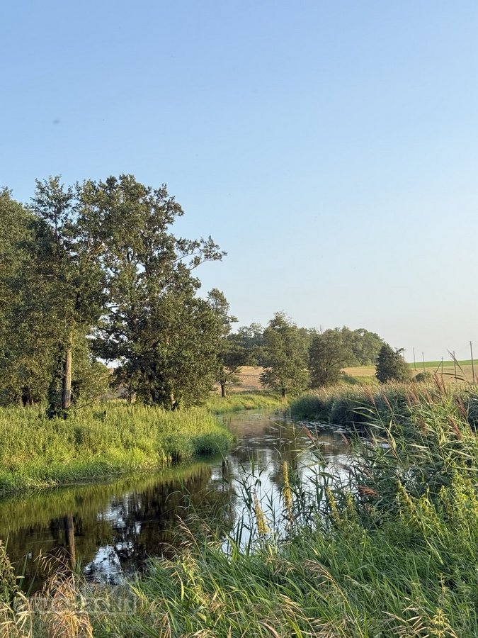 Parduodamas 1.2099 ha buvusi sena sodyba - nuotraukos Nr. 11