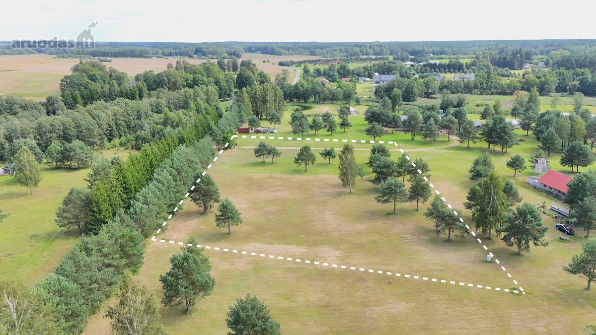 Nuostabioje Vietoje, Pušų Apsuptyje Su - nuotraukos Nr. 8