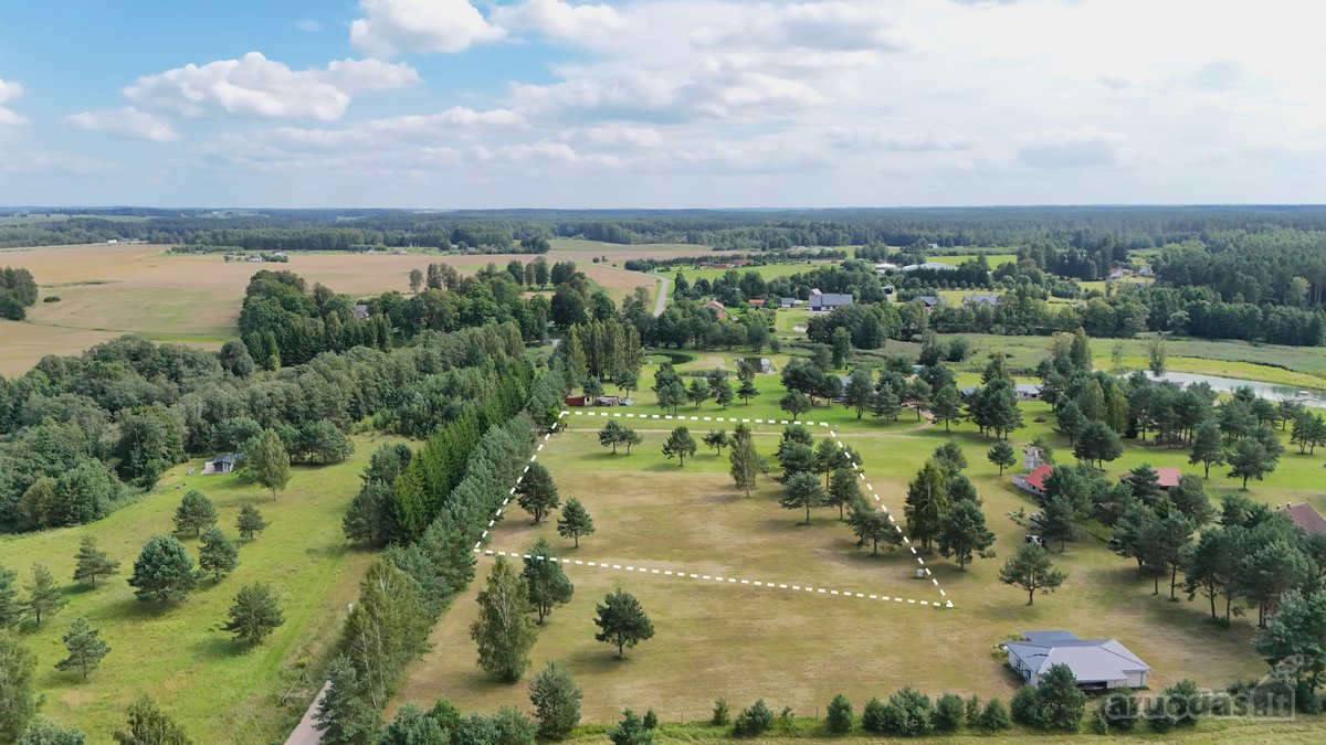 Nuostabioje Vietoje, Pušų Apsuptyje Su - nuotraukos Nr. 9
