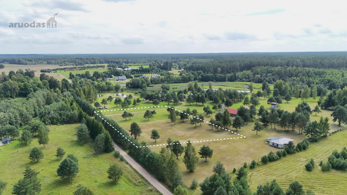 Nuostabioje Vietoje, Pušų Apsuptyje Su - nuotraukos Nr. 10