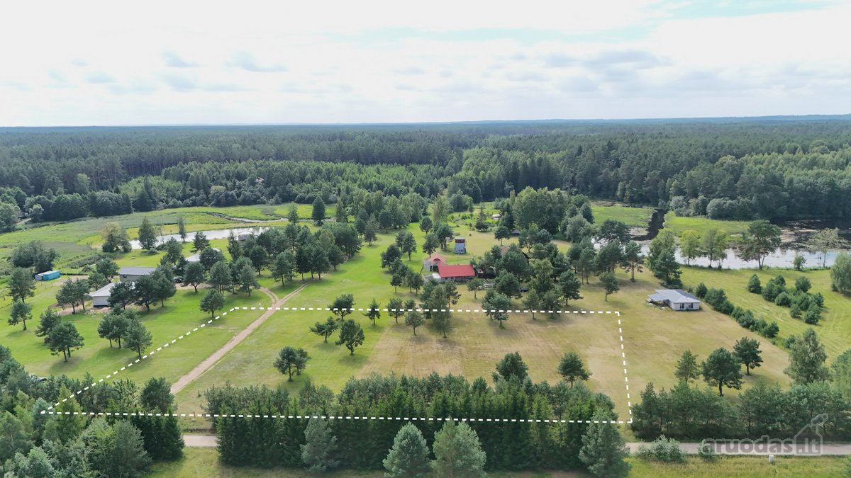 Nuostabioje Vietoje, Pušų Apsuptyje Su - nuotraukos Nr. 11