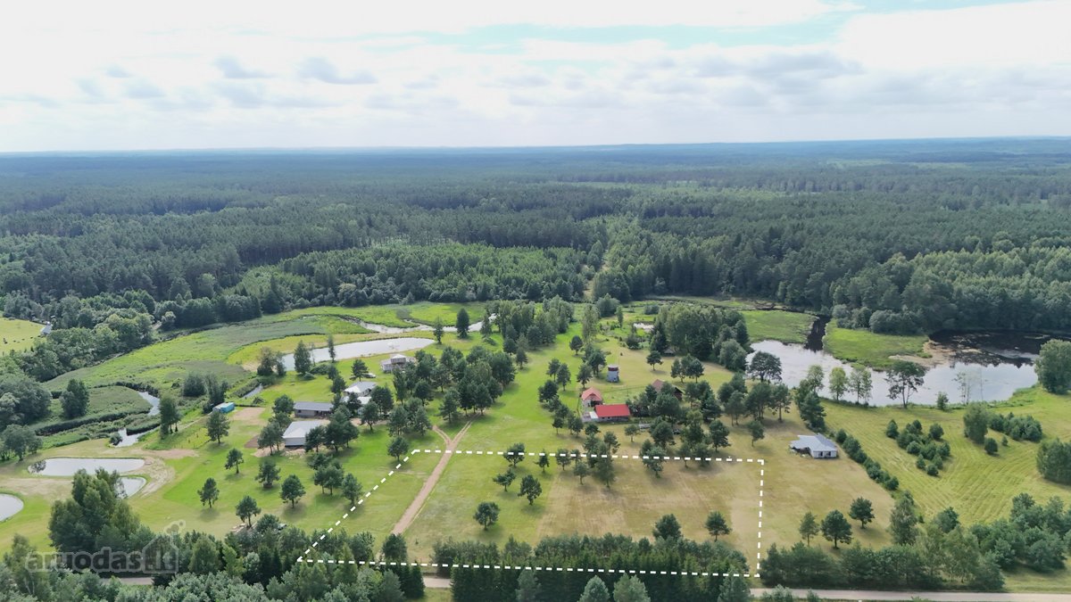 Nuostabioje Vietoje, Pušų Apsuptyje Su - nuotraukos Nr. 12
