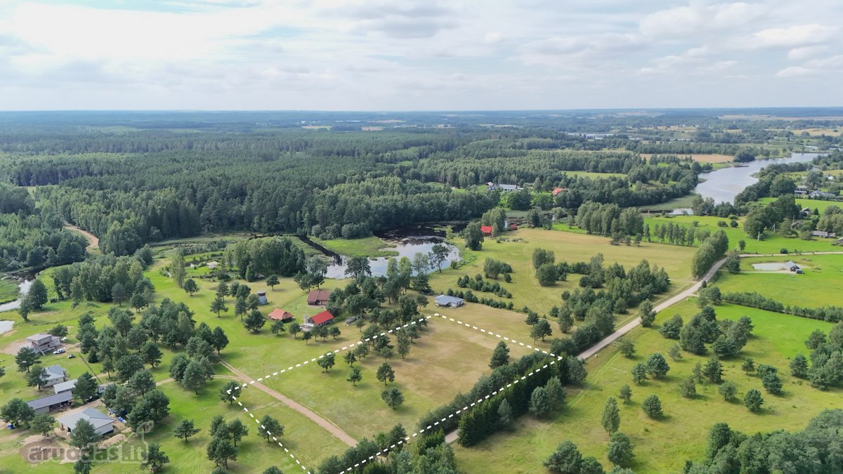 Nuostabioje Vietoje, Pušų Apsuptyje Su - nuotraukos Nr. 13