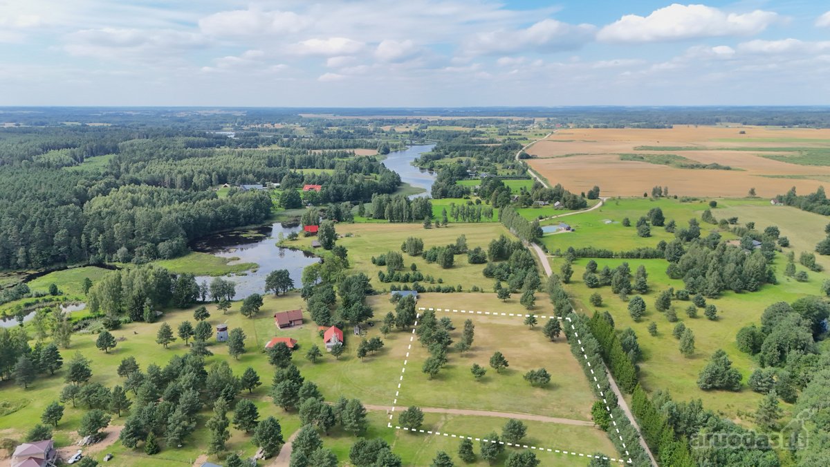Nuostabioje Vietoje, Pušų Apsuptyje Su - nuotraukos Nr. 3