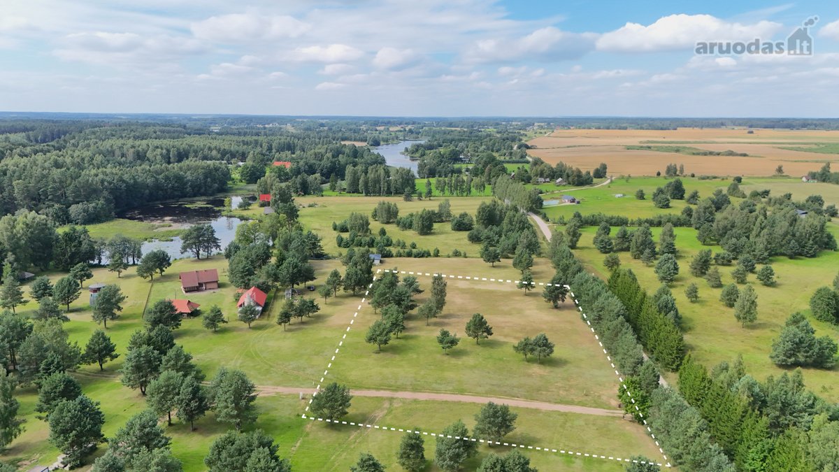 Nuostabioje Vietoje, Pušų Apsuptyje Su - nuotraukos Nr. 14