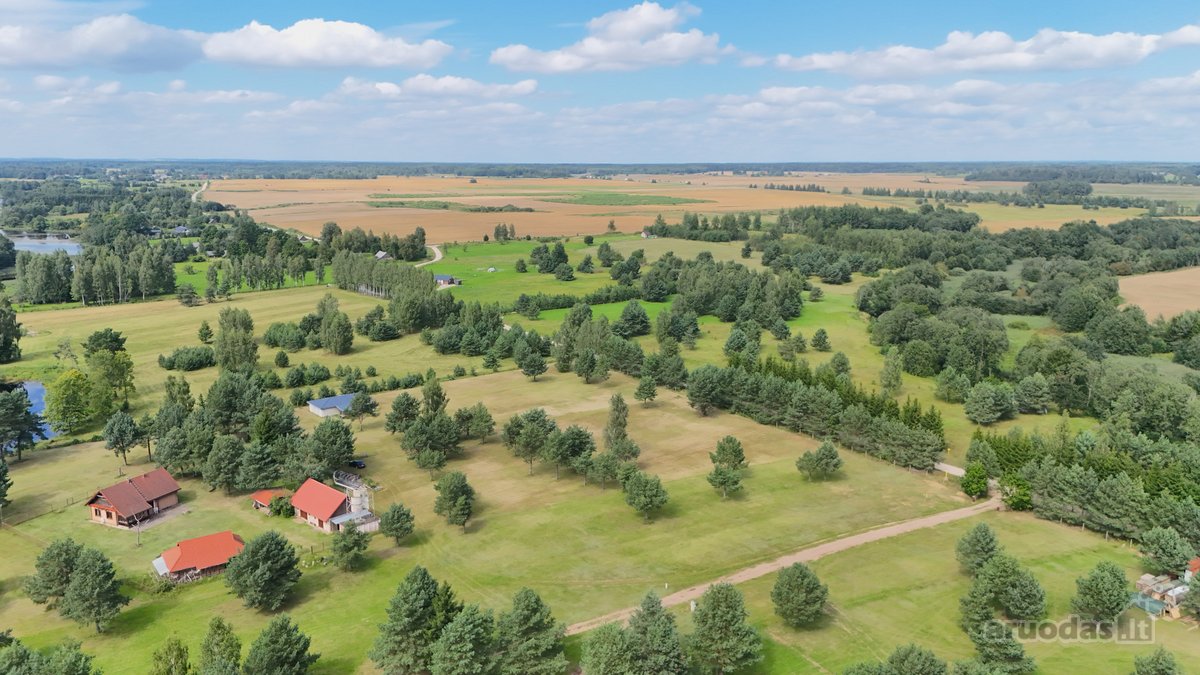 Nuostabioje Vietoje, Pušų Apsuptyje Su - nuotraukos Nr. 15