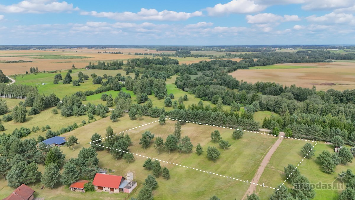 Nuostabioje Vietoje, Pušų Apsuptyje Su - nuotraukos Nr. 16