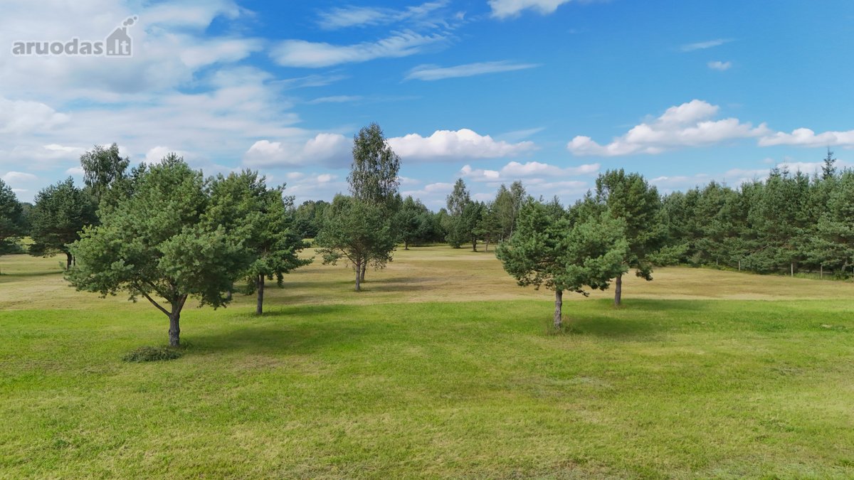 Nuostabioje Vietoje, Pušų Apsuptyje Su - nuotraukos Nr. 17
