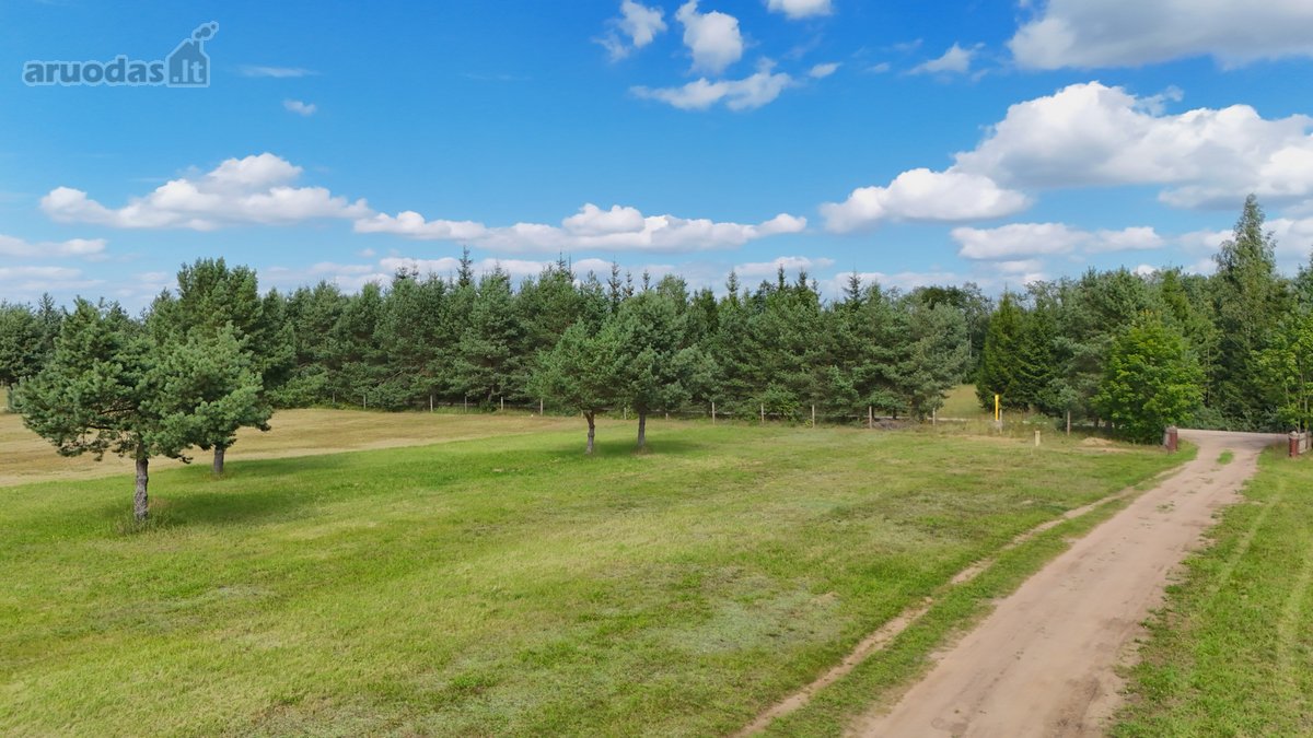 Nuostabioje Vietoje, Pušų Apsuptyje Su - nuotraukos Nr. 18