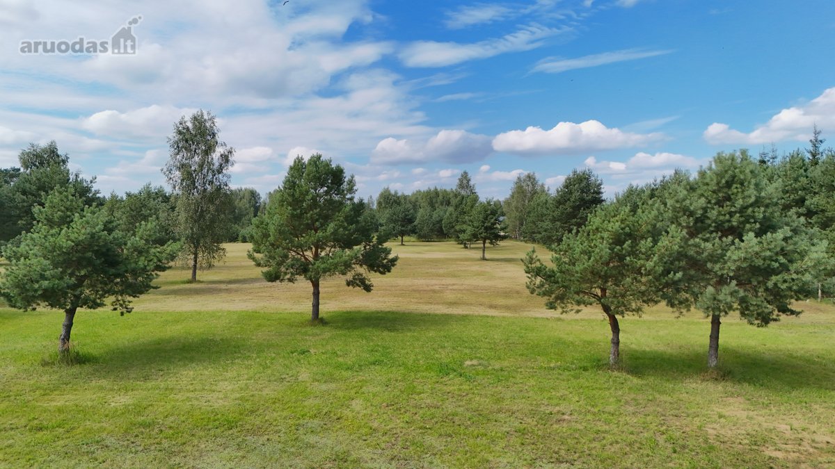 Nuostabioje Vietoje, Pušų Apsuptyje Su