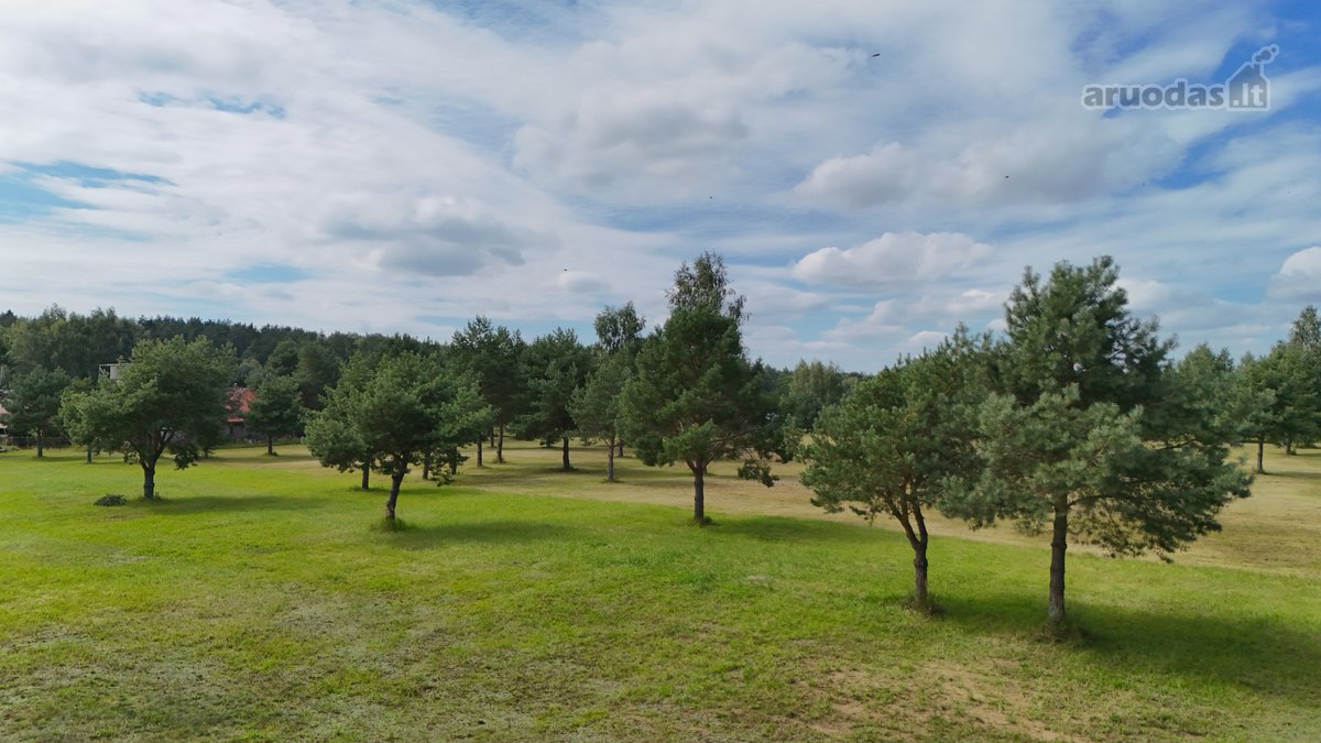 Nuostabioje Vietoje, Pušų Apsuptyje Su - nuotraukos Nr. 19