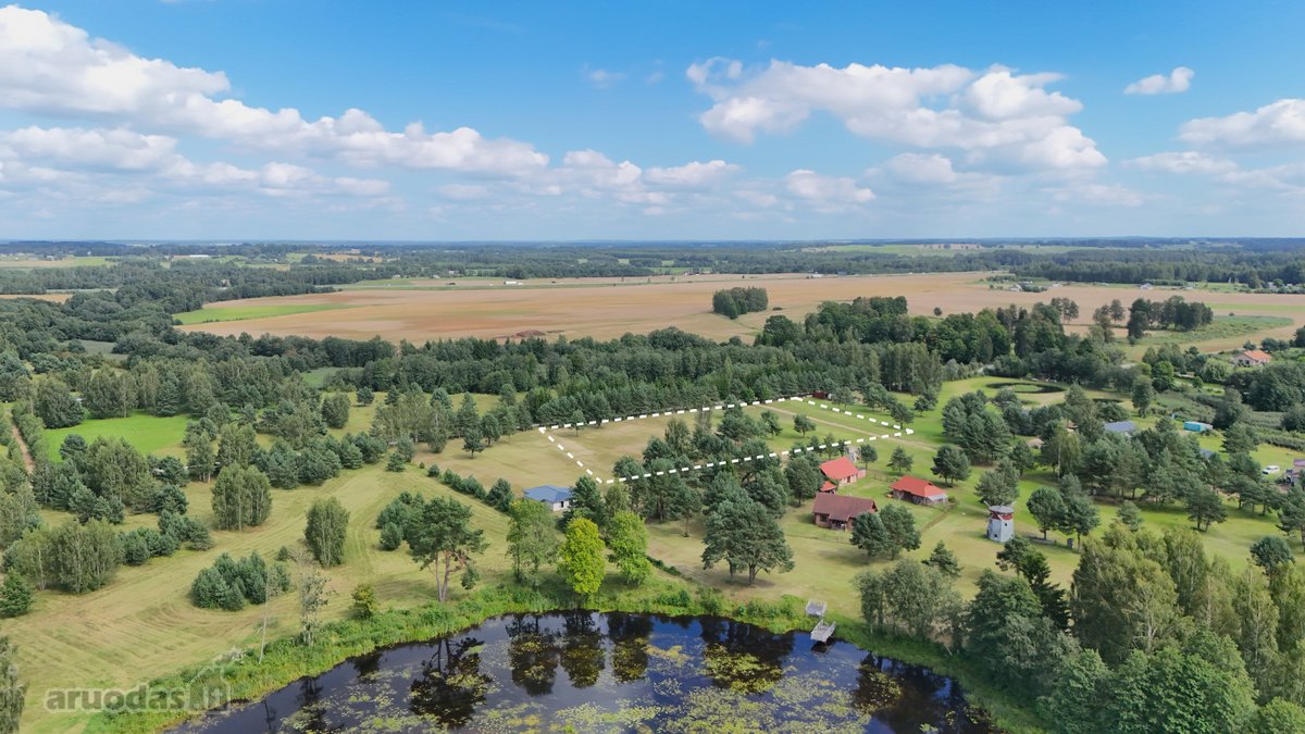 Nuostabioje Vietoje, Pušų Apsuptyje Su - nuotraukos Nr. 2