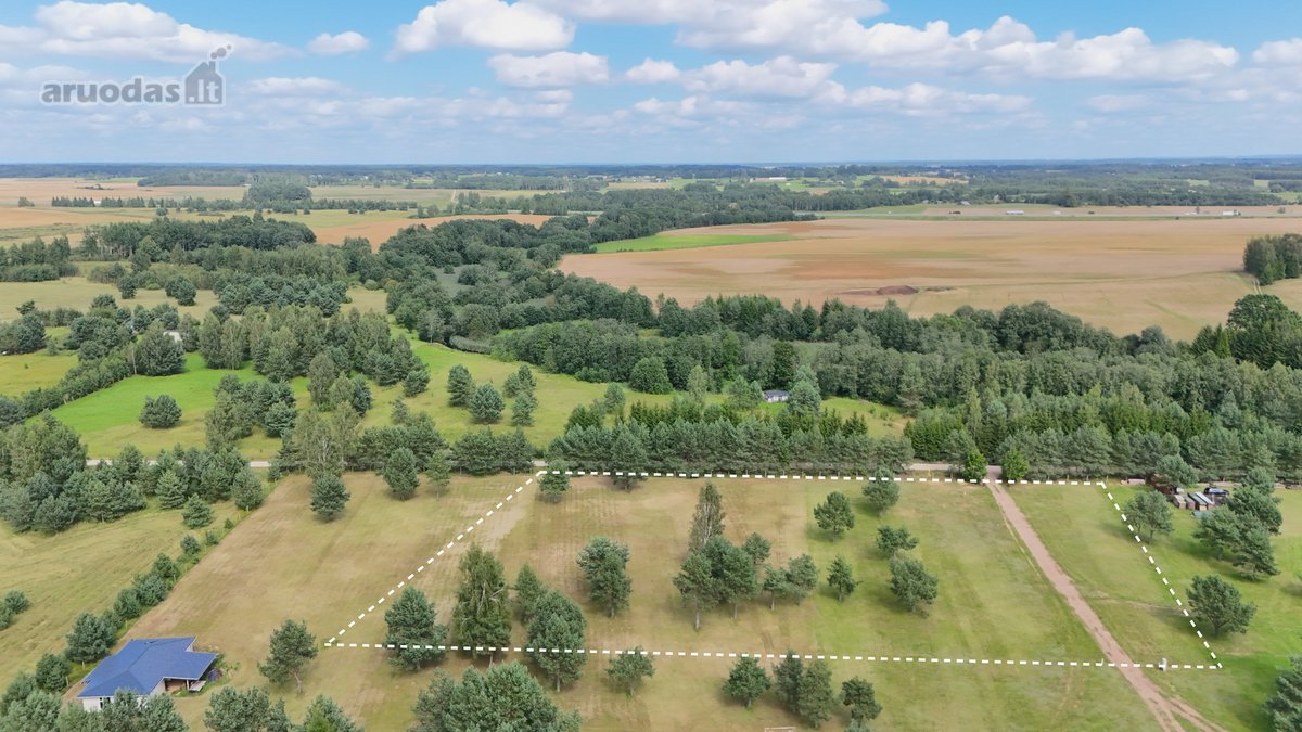 Nuostabioje Vietoje, Pušų Apsuptyje Su - nuotraukos Nr. 4