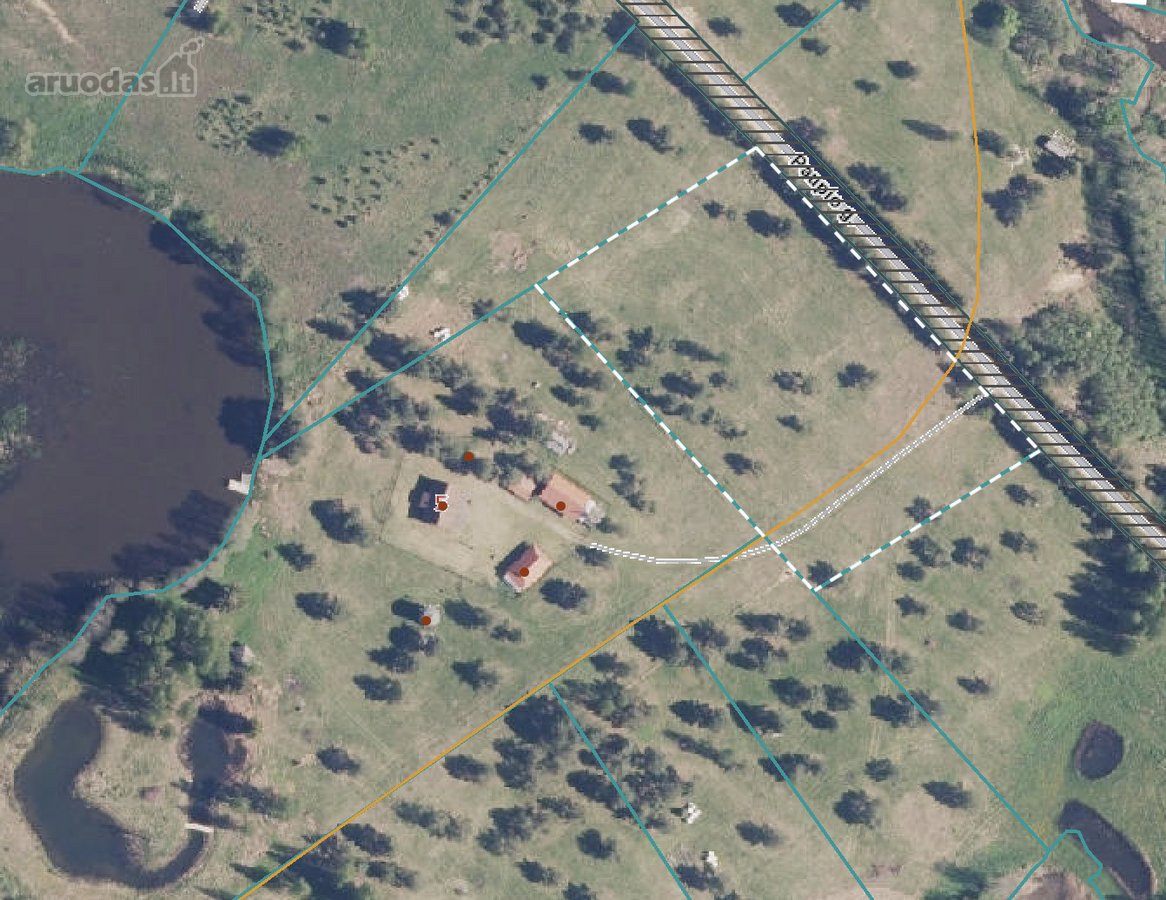 Nuostabioje Vietoje, Pušų Apsuptyje Su - nuotraukos Nr. 5