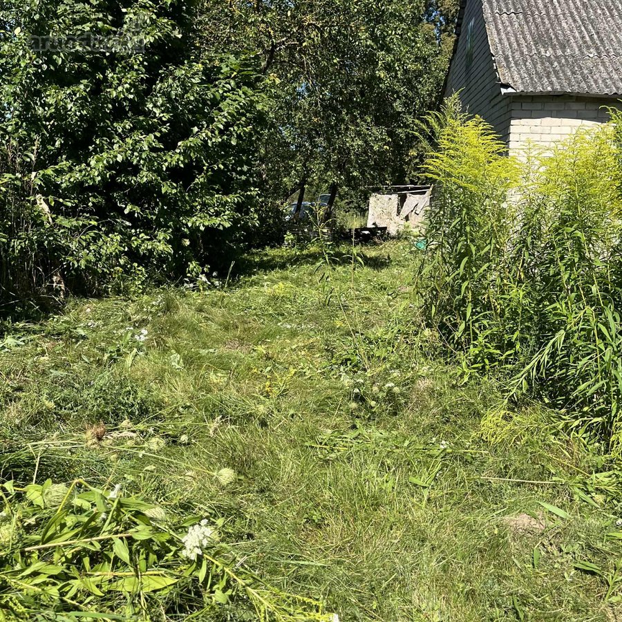 Parduodamas didelis sklypas. Sklype randasi - nuotraukos Nr. 2