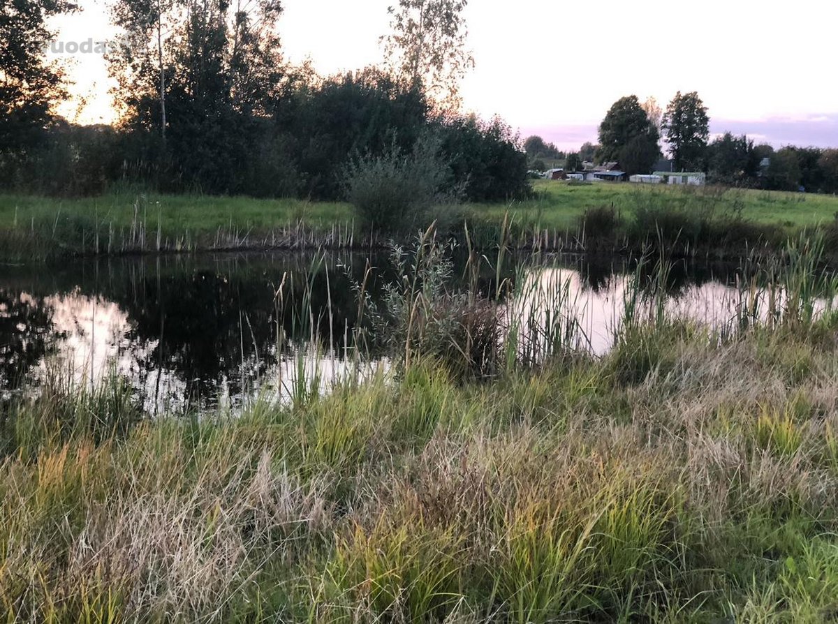 Visiškai šalia Molėtų miesto (atstumas tik 1 - nuotraukos Nr. 2