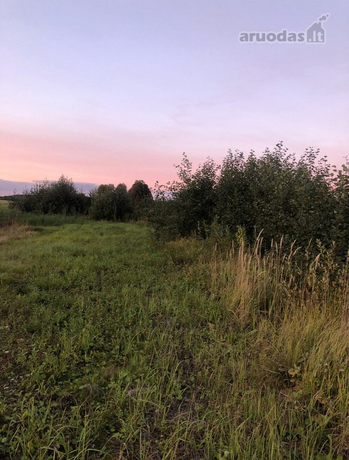 Visiškai šalia Molėtų miesto (atstumas tik 1 - nuotraukos Nr. 3