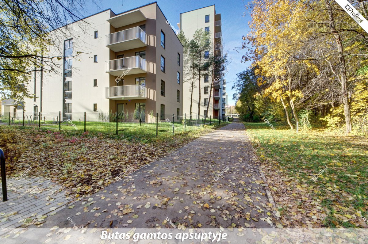 Nuomojamas Trijų Kambarių Butas Gamtos - nuotraukos Nr. 23