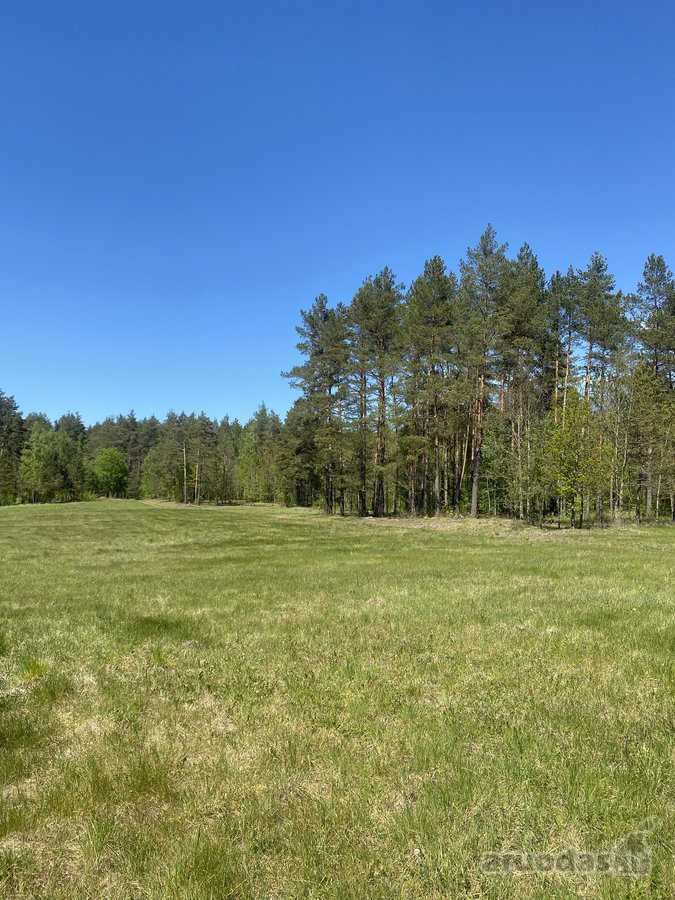 Sodyba Dzūkijos Nacionaliniame Parke – - nuotraukos Nr. 5