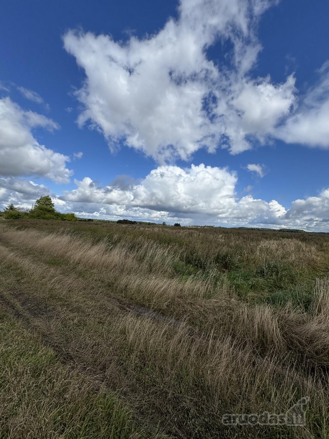 5,87 ha žemės ūkio paskirties sklypas Skuodo - nuotraukos Nr. 5