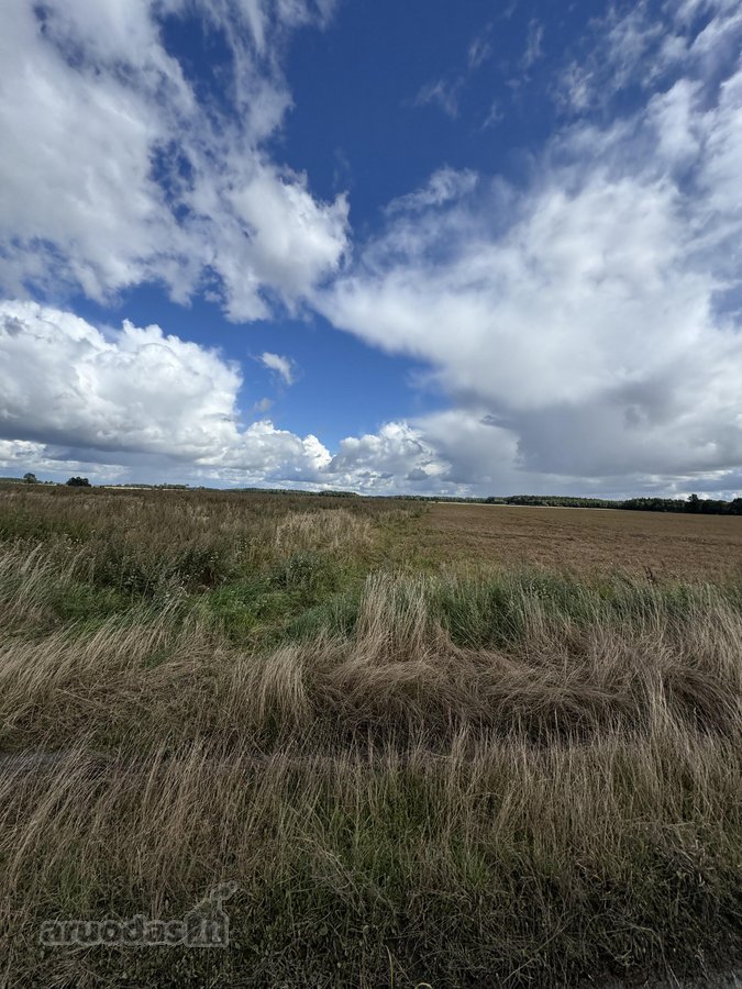 5,87 ha žemės ūkio paskirties sklypas Skuodo - nuotraukos Nr. 4