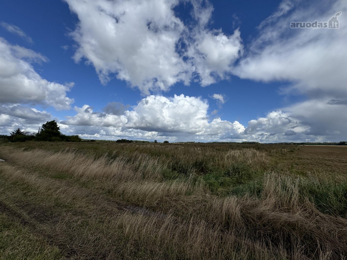 5,87 ha žemės ūkio paskirties sklypas Skuodo - nuotraukos Nr. 8