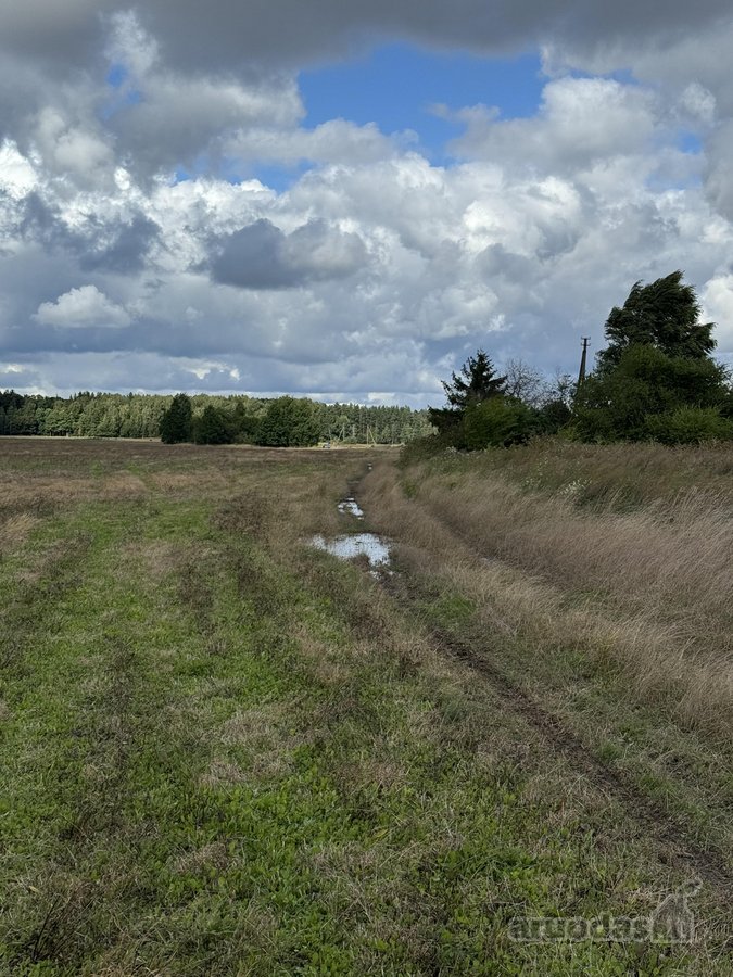 5,87 ha žemės ūkio paskirties sklypas Skuodo - nuotraukos Nr. 9