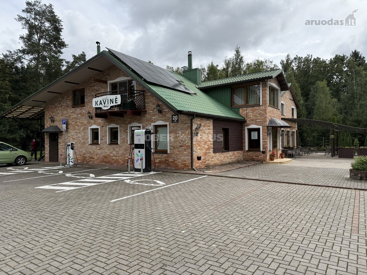 Šiauliečiai Ir Miesto Svečiai Išgirdę Žodžius - nuotraukos Nr. 6