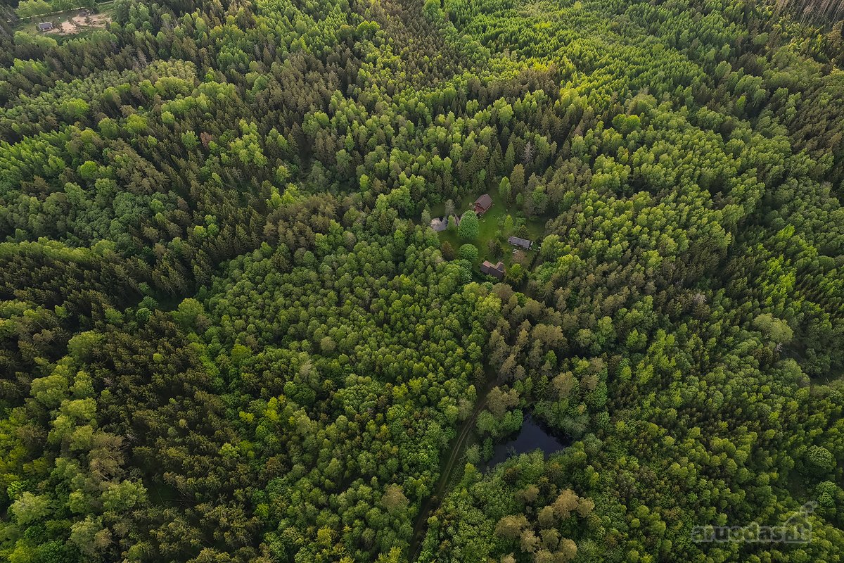 Nuostabaus grožio sodyba su tvenkiniu - nuotraukos Nr. 14