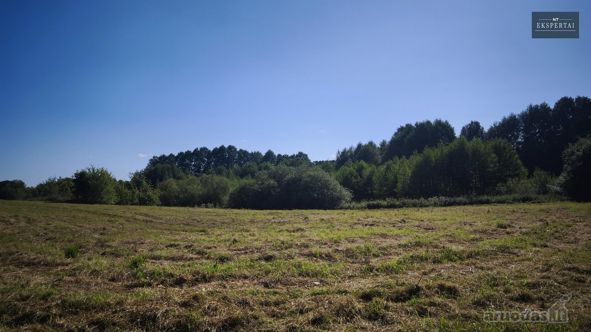 Parduodamas namų valdos sklypas ieškantiems - nuotraukos Nr. 7