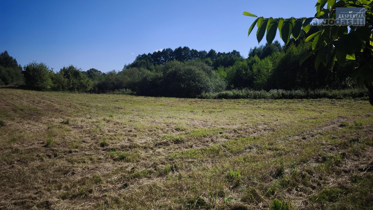 Parduodamas namų valdos sklypas ieškantiems - nuotraukos Nr. 2