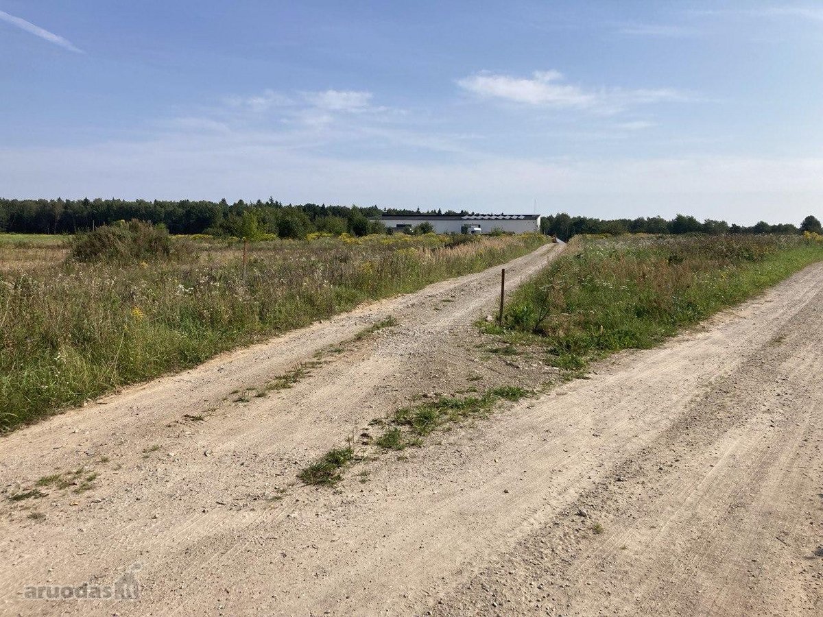 Parduodamas 0,5353 ha dydžio žemės sklypas. - nuotraukos Nr. 9