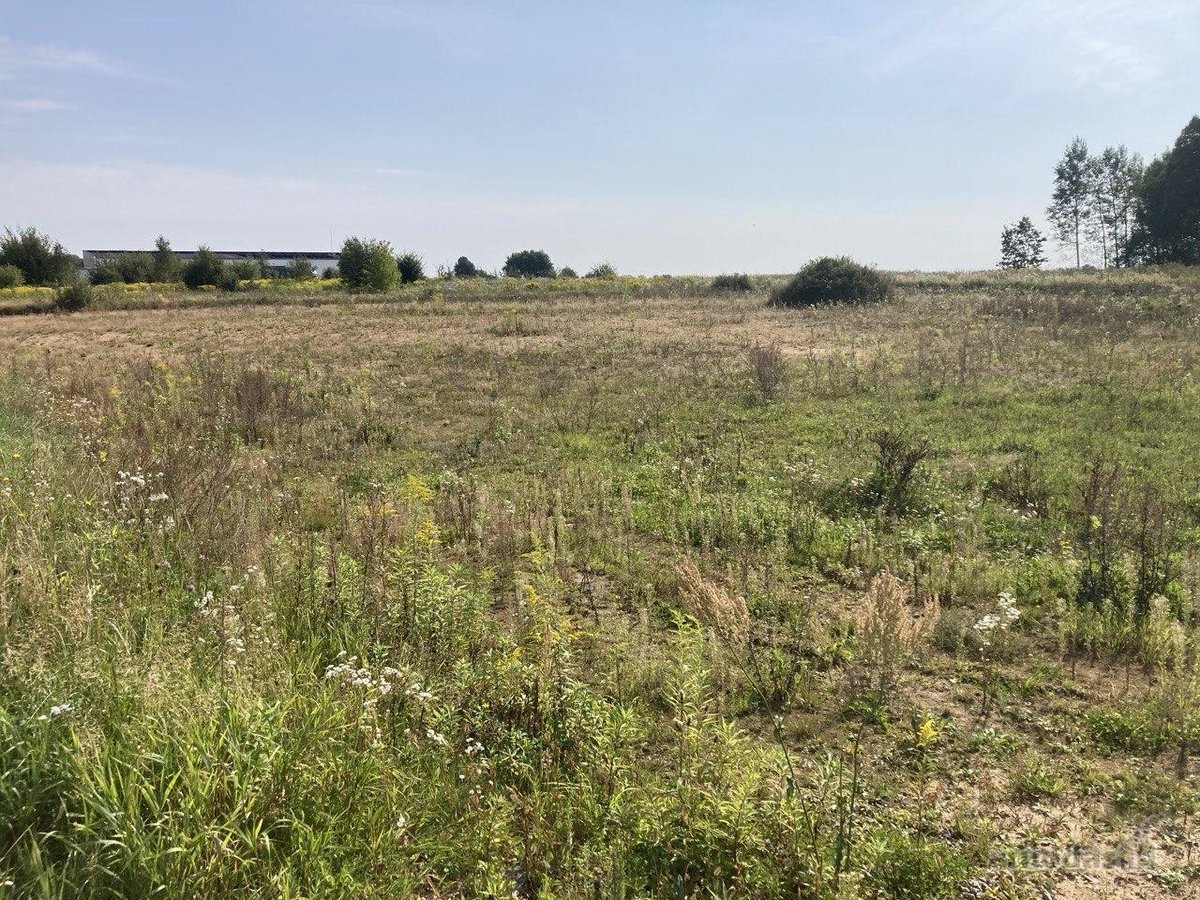 Parduodamas 0,5353 ha dydžio žemės sklypas. - nuotraukos Nr. 13