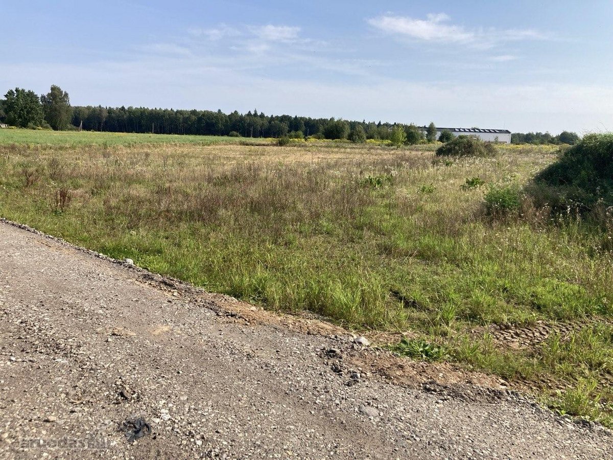 Parduodamas 0,5353 ha dydžio žemės sklypas. - nuotraukos Nr. 10